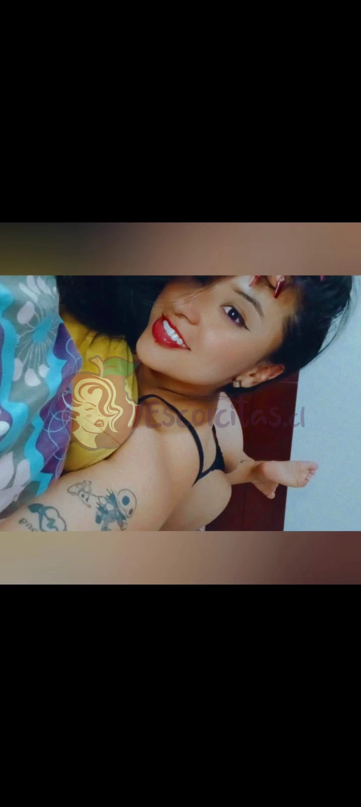 Contacto - Escorcitas