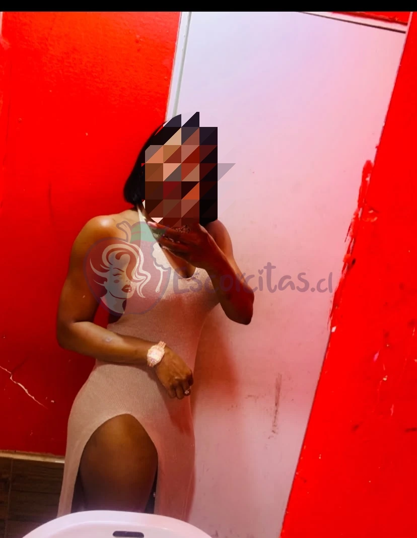 Contacto - Escorcitas