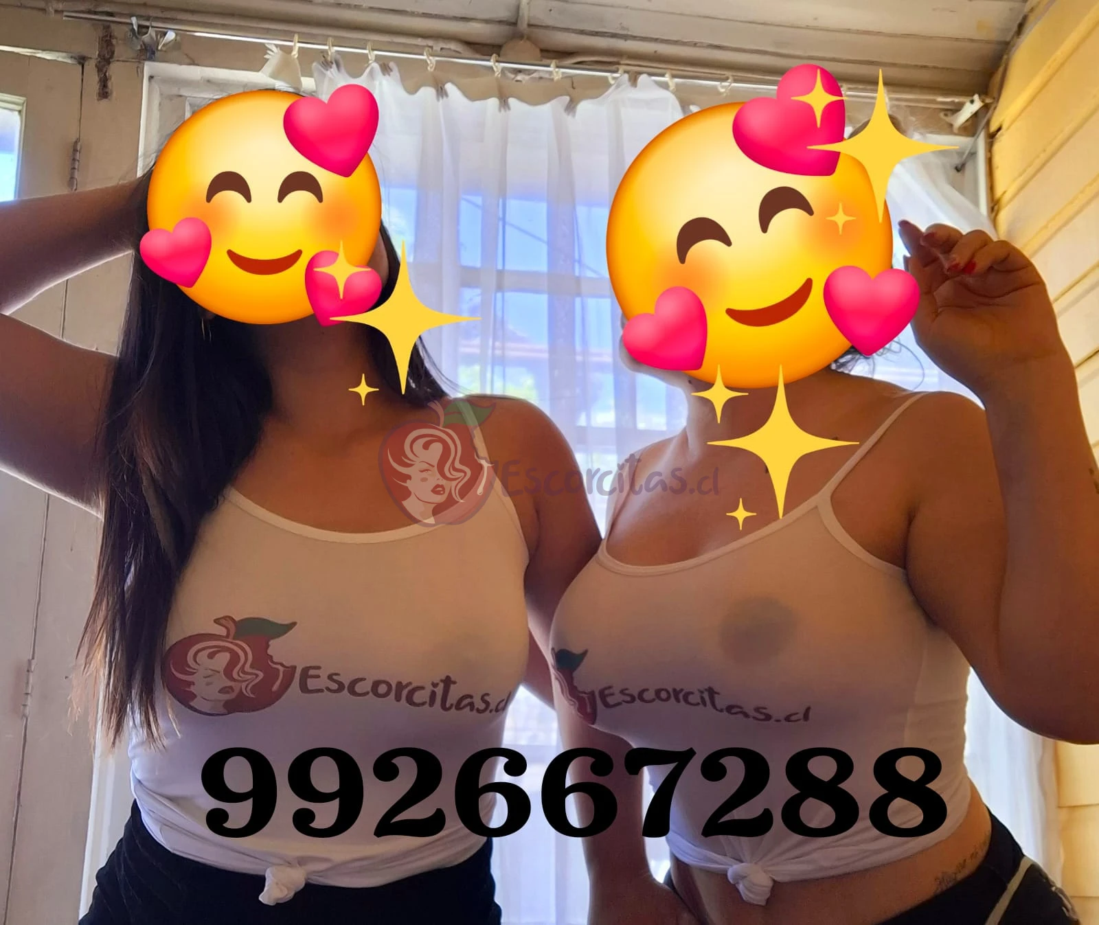 Contacto - Escorcitas