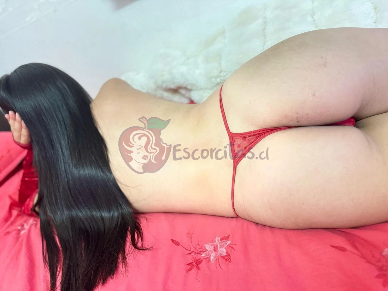JIMENA, Escort en Los Andes