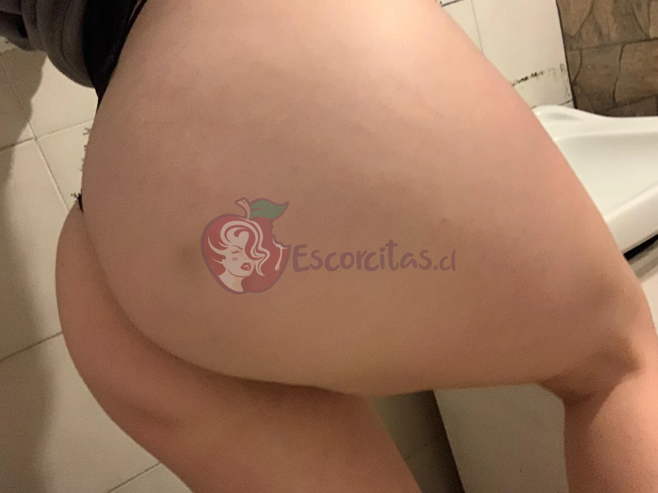 PASCAL, Escort en Rancagua