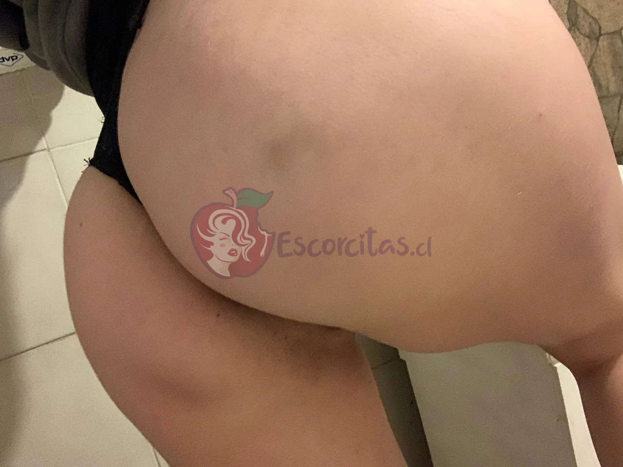 PASCAL, Escort en Rancagua
